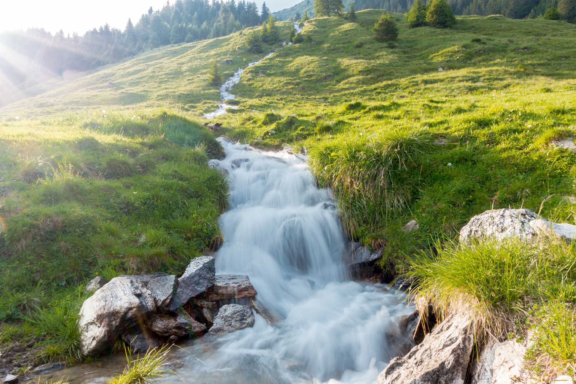 natur-pur-tetra-vitol