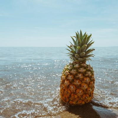 ananas-1834329_1920 ananas-1834329_1920