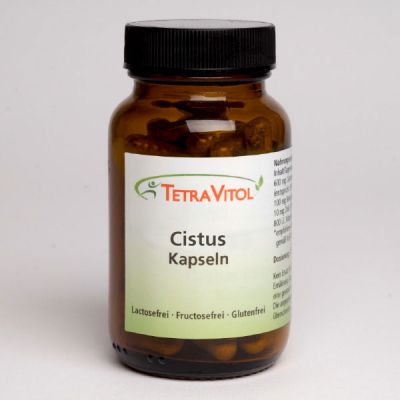 cistus
